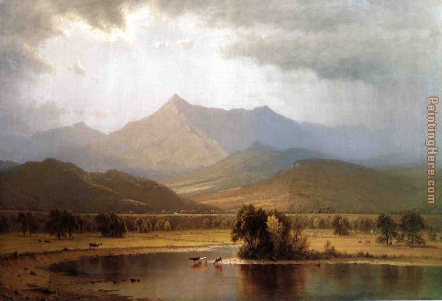 A Passing Storm in the Adirondacks painting - Sanford Robinson Gifford A Passing Storm in the Adirondacks art painting
